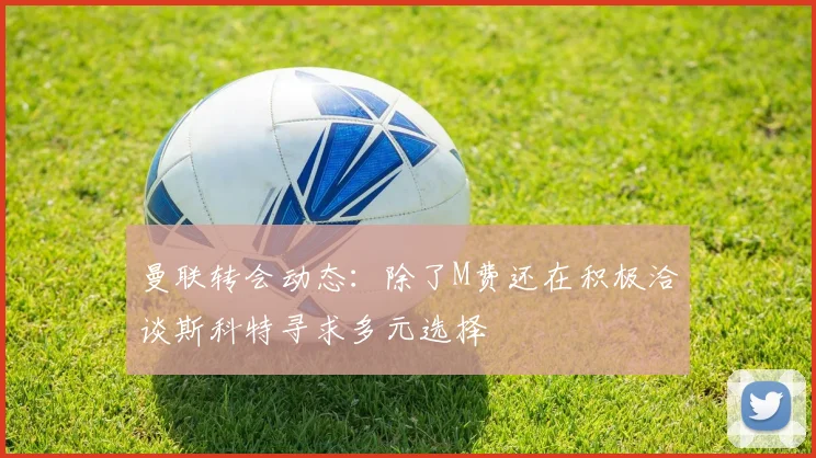 曼联转会动态：除了M费还在积极洽谈斯科特寻求多元选择